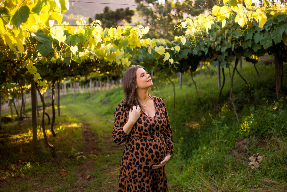 Ensaio Gestante em Rolante/RS | A espera de Isabela