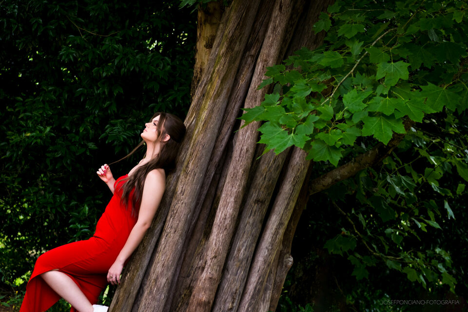 Ensaio de 15 anos Rolante | Dominique Schonwald