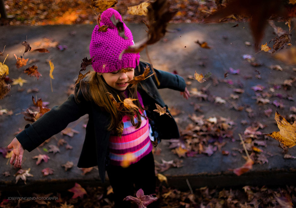 Ensaio de Família em São Francisco de Paula | Família Schaeffer