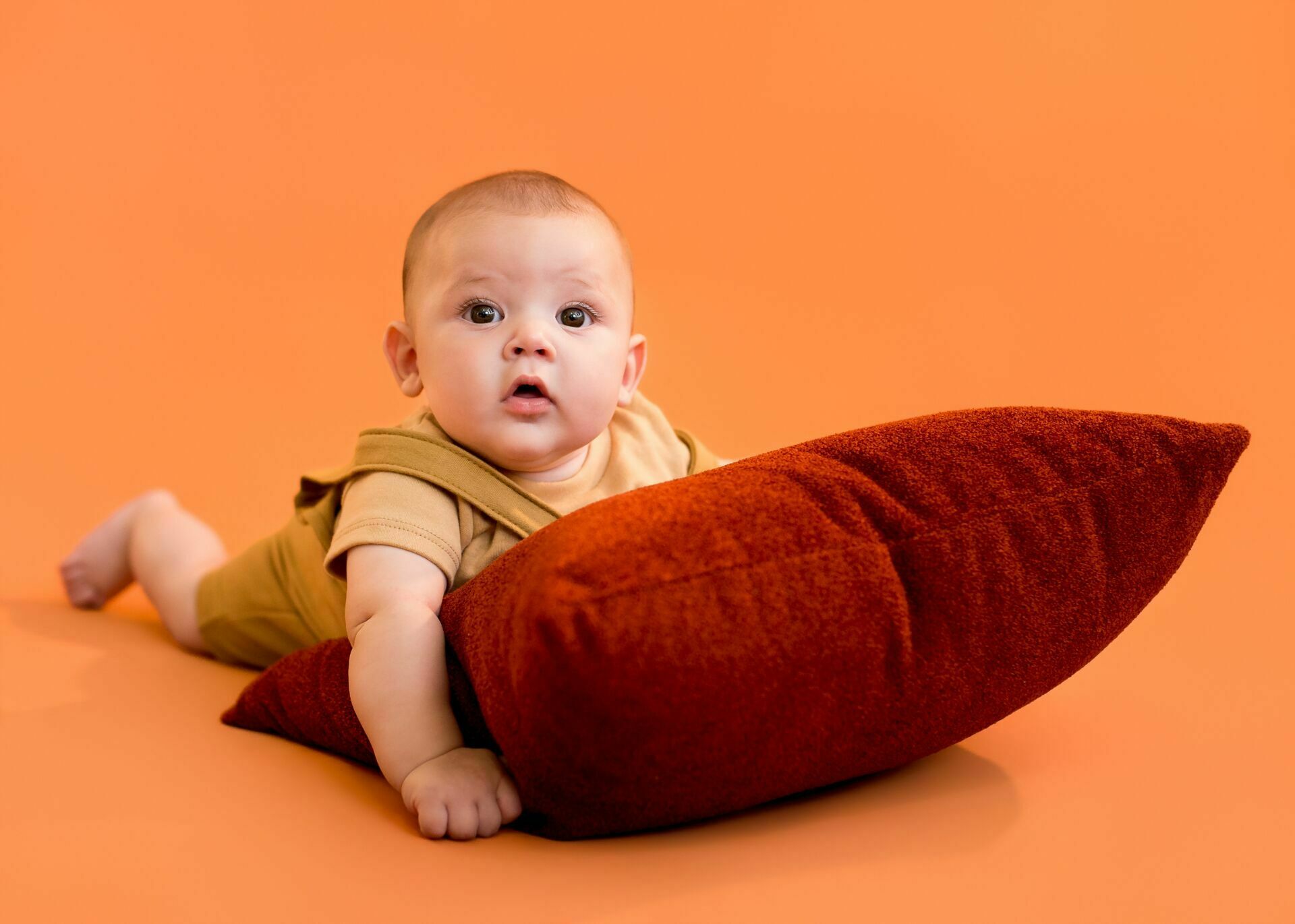 Como Fazer um Livro de Memórias do Bebê com Fotos Profissionais: Guia Completo