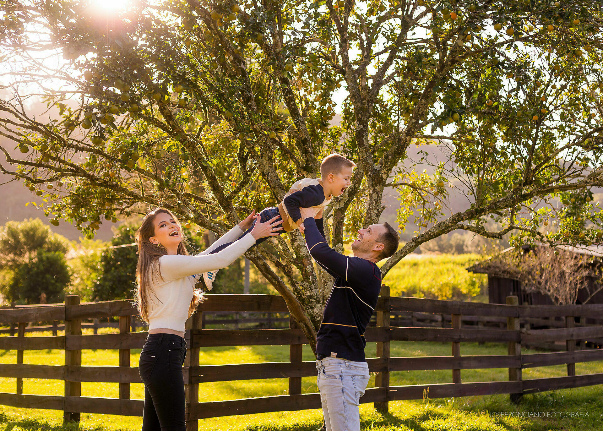 Foto Iluminação na fotografia: o segredo para fotos profissionais - Imagem 5